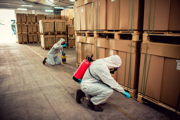 Professional Pest Control in Telford, PA